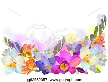 Clipart   Vector Greeting Background With Pictorial Freesia Flowers In