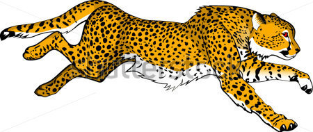 Download Source File Browse   Animals   Wildlife   Running Cheetah