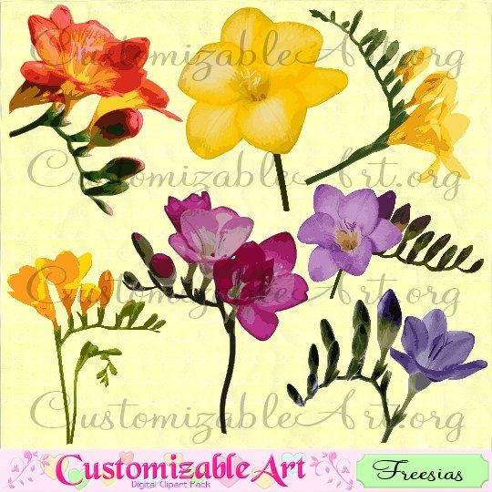 Freesia Clipart Digital Freesia Clip Art Flower Clipart Floral Clipart