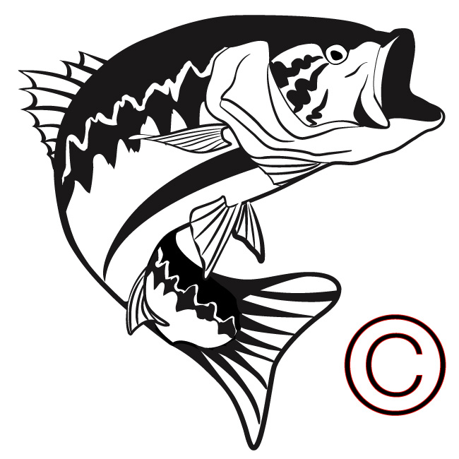 Largemouth Bass Fish Clip Art   Clipart Panda   Free Clipart Images