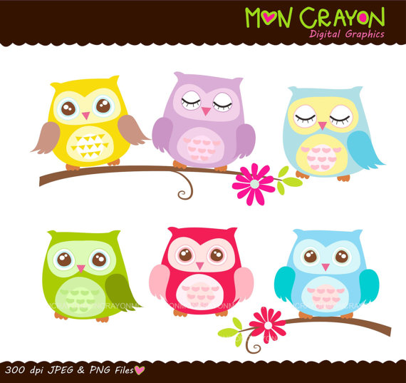 Clip Art  Owls Clip Art  Colourful Hoot Owls Digital Clip Art Pink