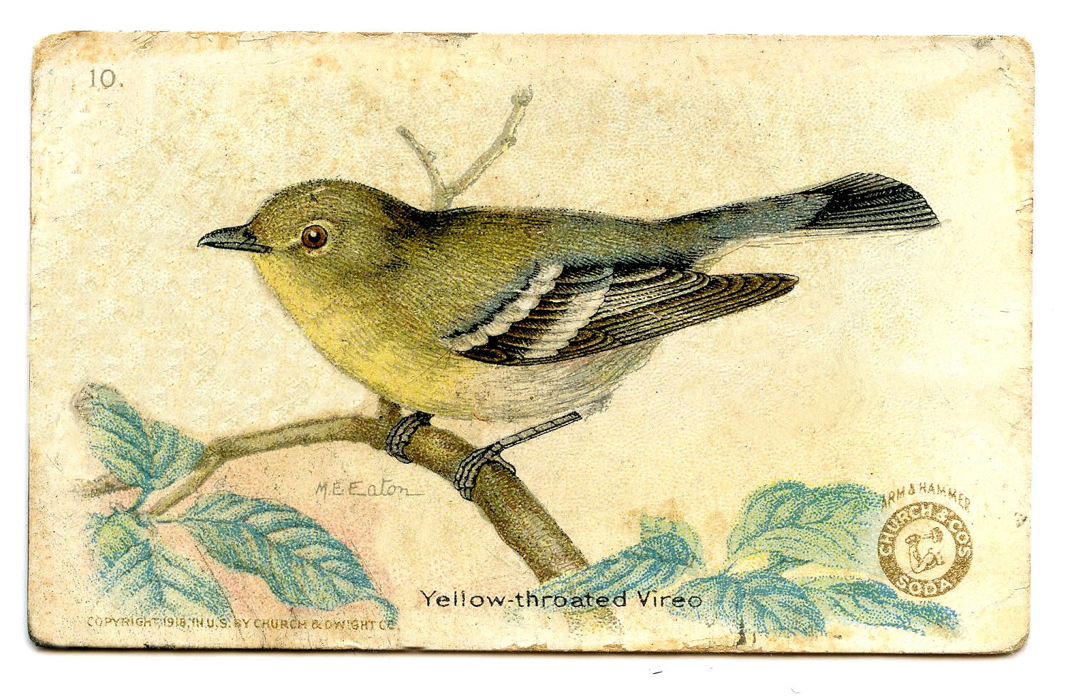 Free Vintage Clip Art   3 More Bird Advertising Cards   The Graphics