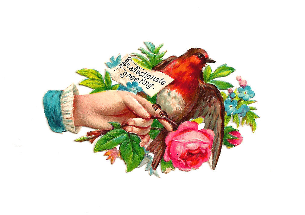 Vintage Bird Clip Art  Bird And Flower Hand Whimsy With Affectionate