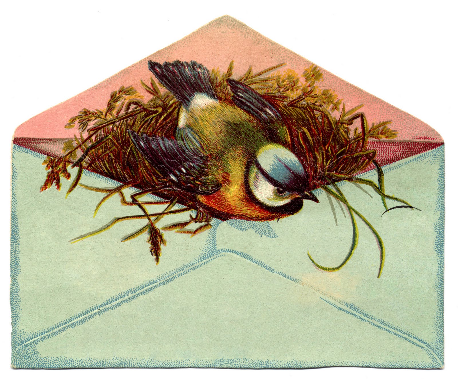 Vintage Clip Art   Sweet Bird With Nest In Envelope