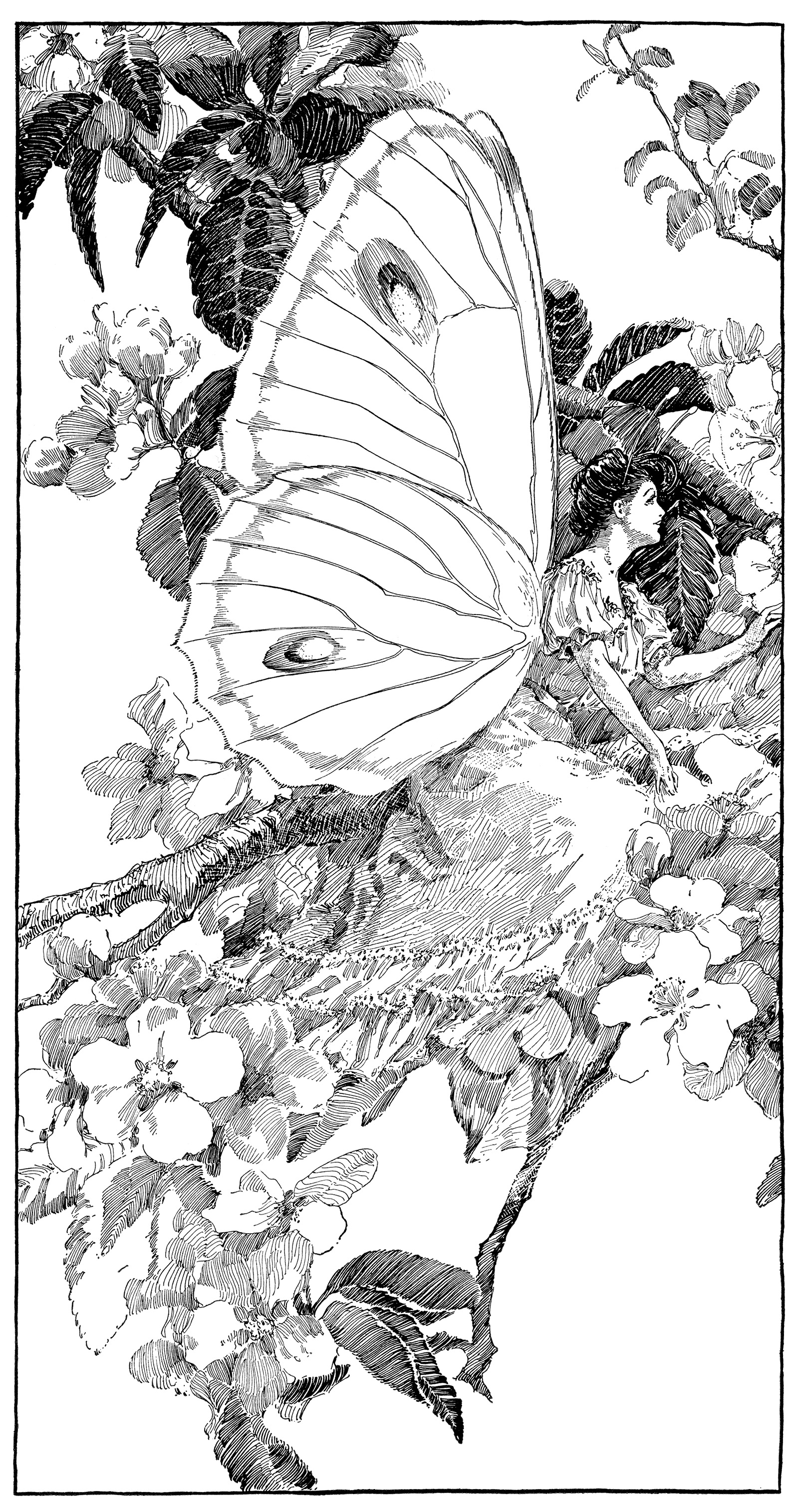 Vintage Clipart Butterfly Printable Fairy Graphics Digital Fairy