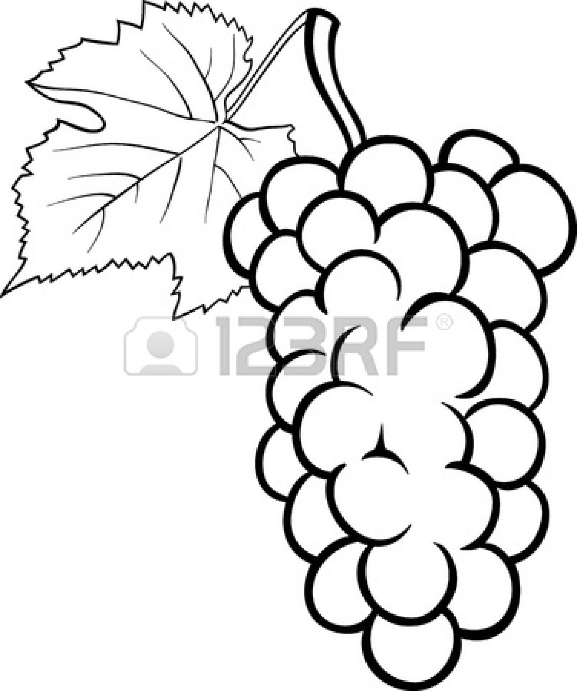 Balck Grapes Colouring Pages  Page 2