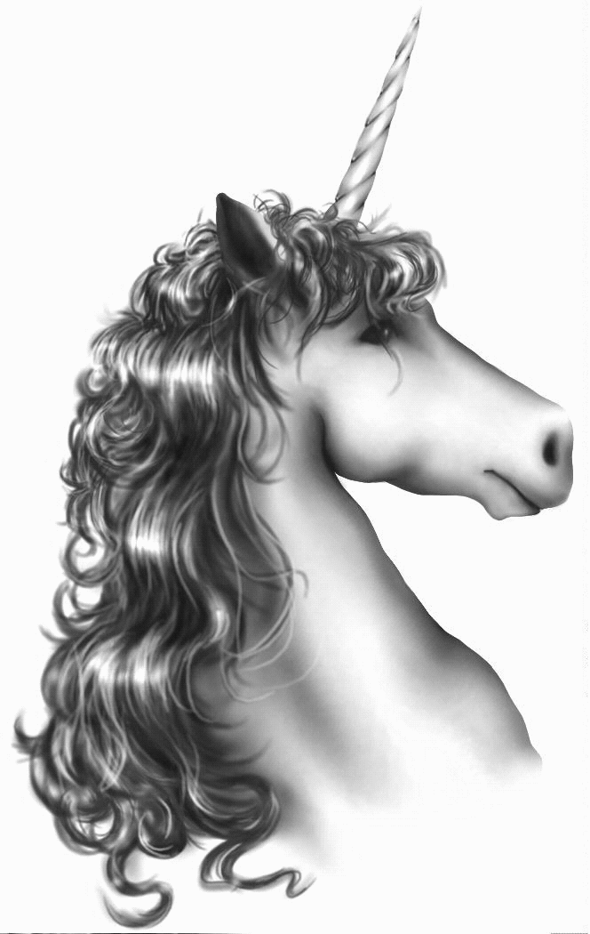 Black And White Clipart   98 Images