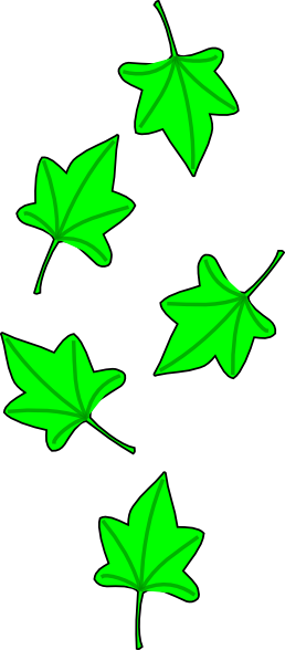 Green Grape Tree Leaves Clip Art At Clker Com   Vector Clip Art Online