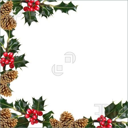 Pinecone Clip Art   Holly And Pine Cone Border Image  Stock Picture To