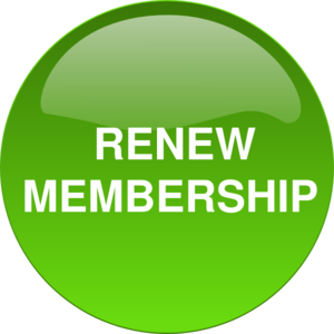 Renew Membership Clip Art At Clker Com   Vector Clip Art Online    
