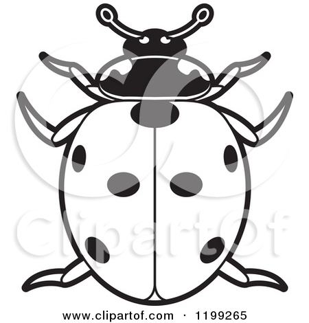 Royalty Free  Rf  Clipart Of Ladybugs Illustrations Vector Graphics