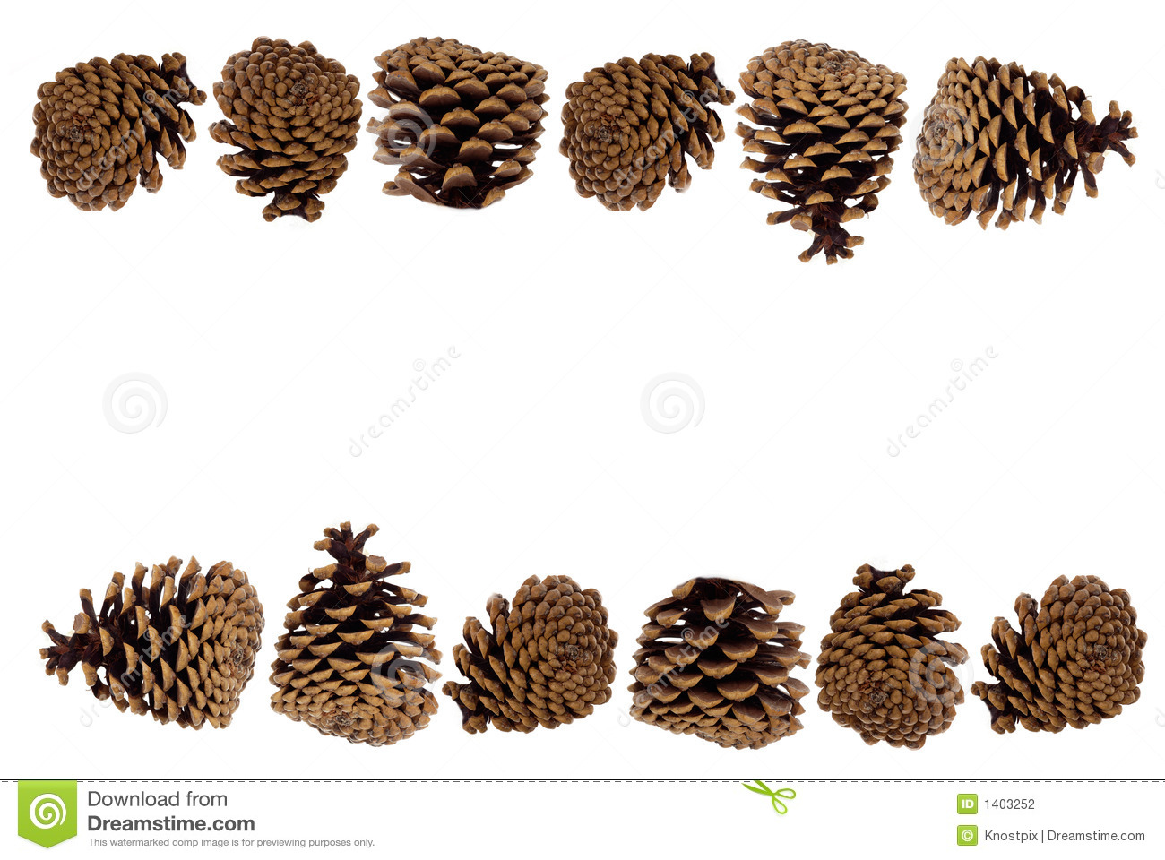 This Stock Photo Is A Decorative Border Of Pine Cones On Plain White