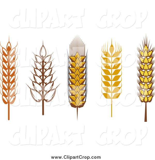 Art Vector Of Wheat Grains Agriculture Clip Art Seamartini Graphics