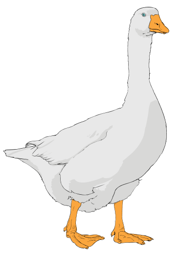 Description Goose Clipart 01 Svg