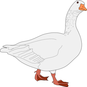 Goose Bird Clip Art At Clker Com   Vector Clip Art Online Royalty    