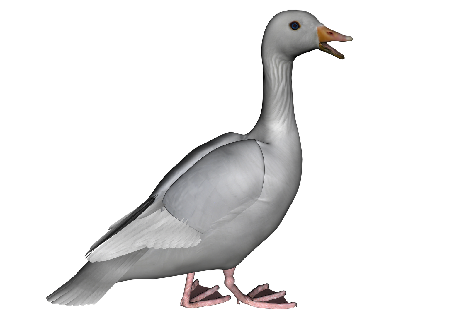Goose Clipart Free Cliparts That You Can Download To You Computer    