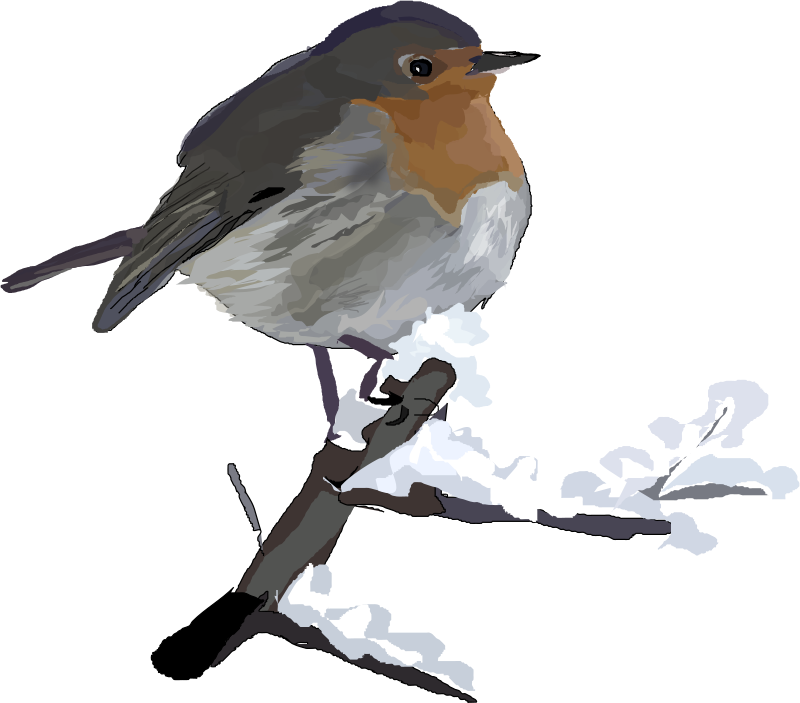 Robin Clipart Png