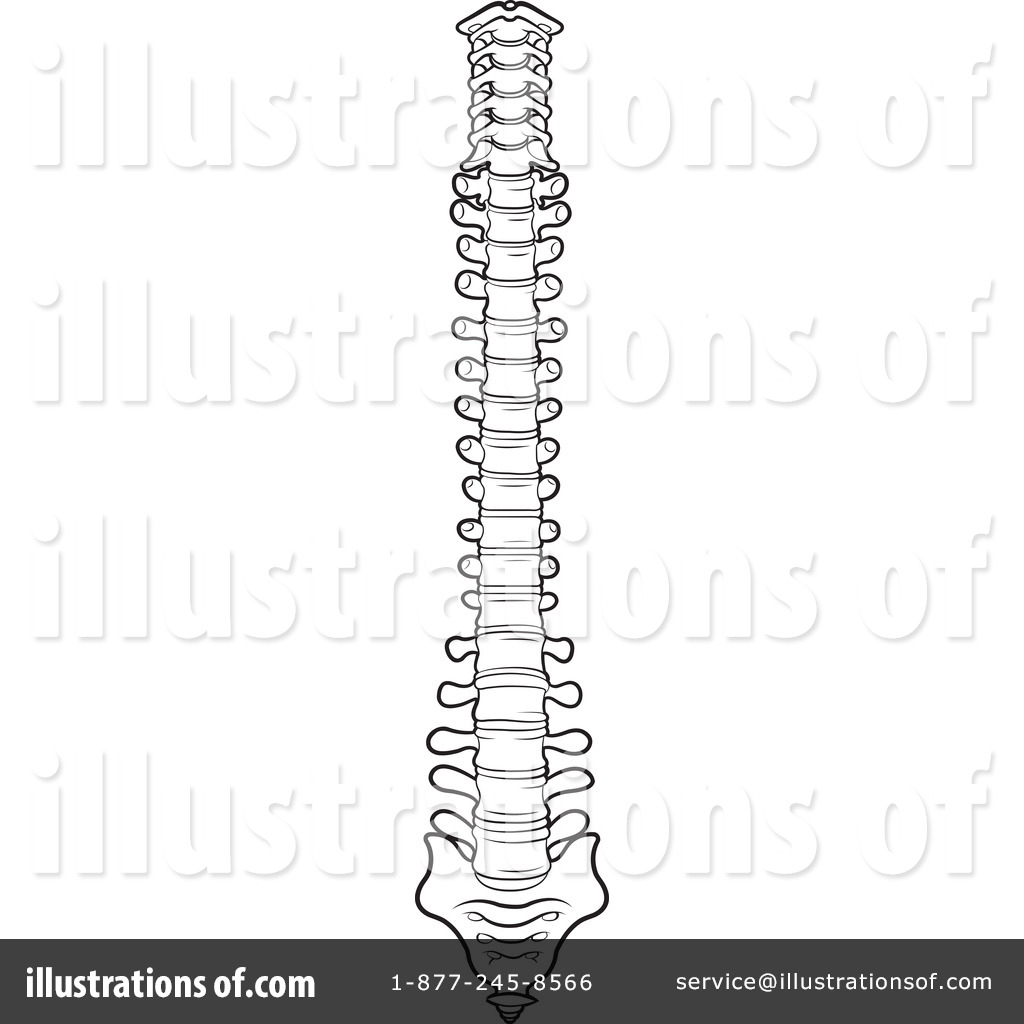 Spine Clipart  1107978   Illustration By Lal Perera