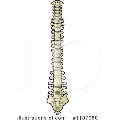 Spine Clipart  1107980   Illustration By Lal Perera