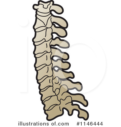 Spine Clipart  1146444   Illustration By Lal Perera