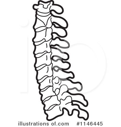 Spine Clipart Spine Clipart Illustration