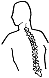 Spine Clipart Spine Gif