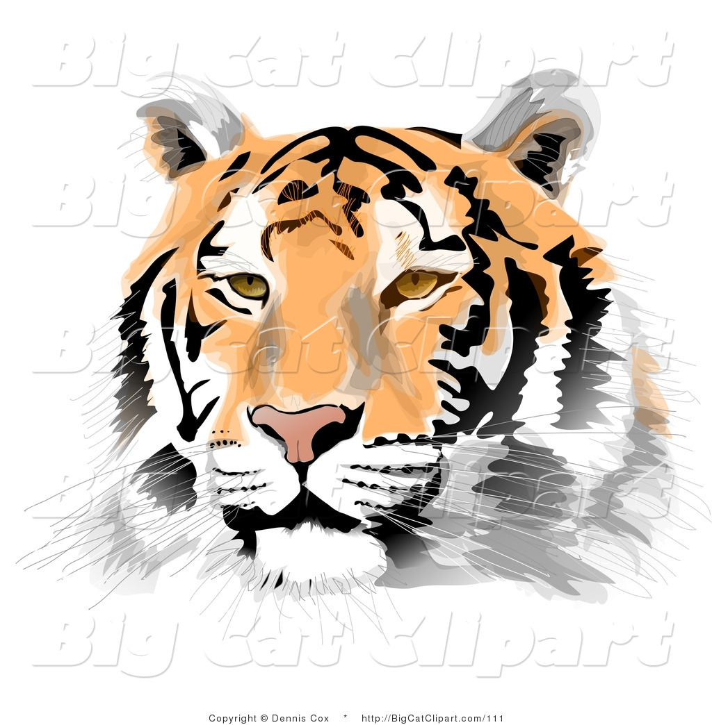 Big Cat Clipart Of A Handsome Tiger Face By Djart    111
