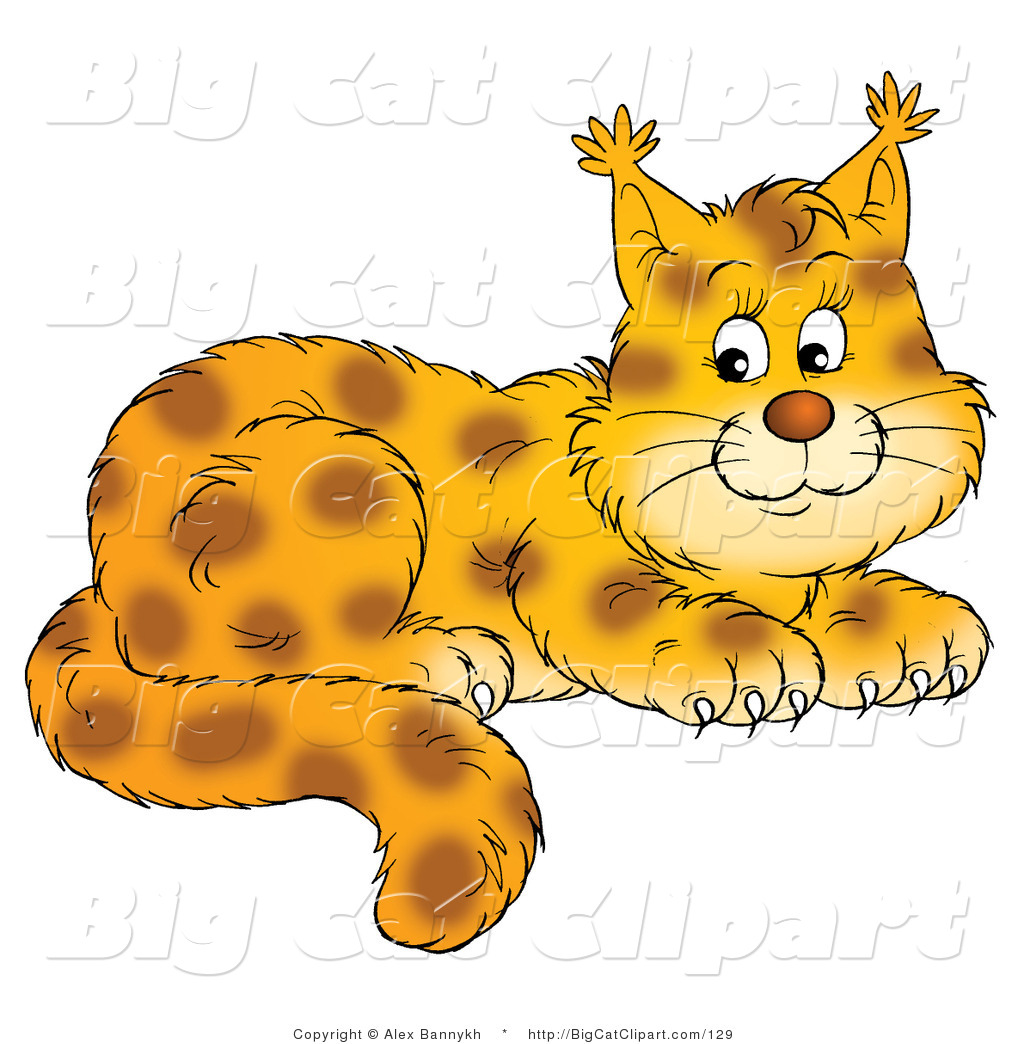 Big Cat Clipart Of An Adorable Bobcat By Alex Bannykh    129