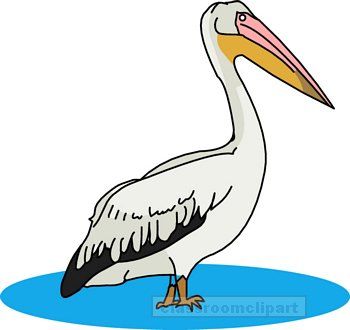 Birds   Pelican   Classroom Clipart