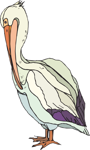 Free Pelican Clip Art