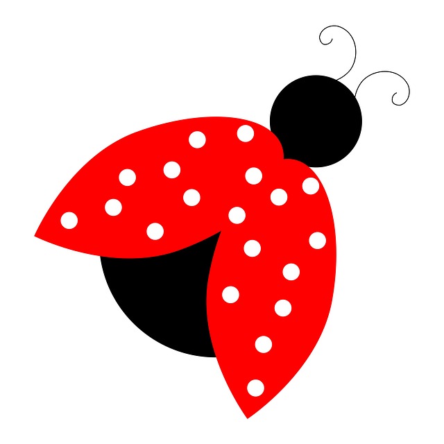 Ladybug Ladybird Red Bug Insect Clipart Cute