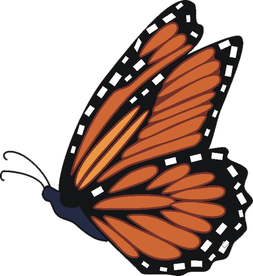 Monarch Butterfly Clipart   Clipart Best