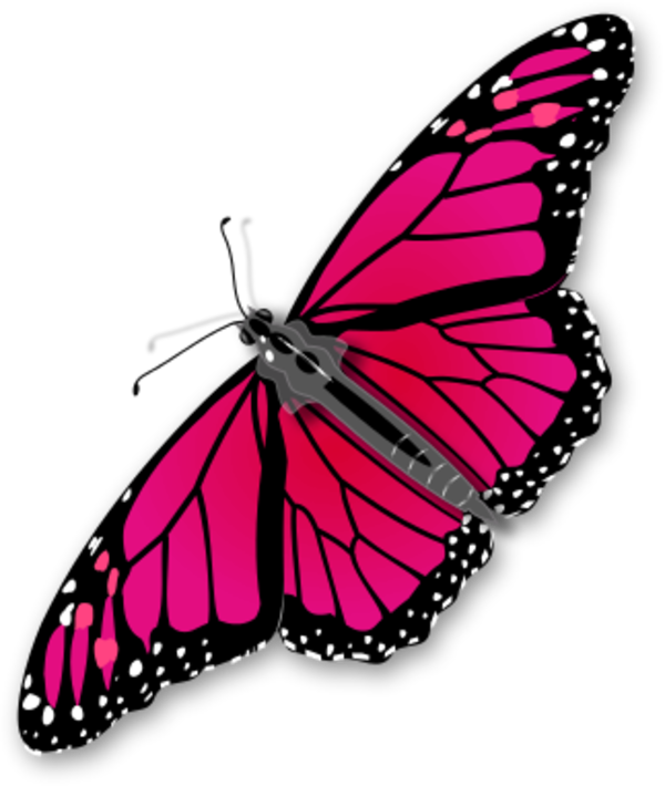 Monarch Butterfly Vector Clip Art