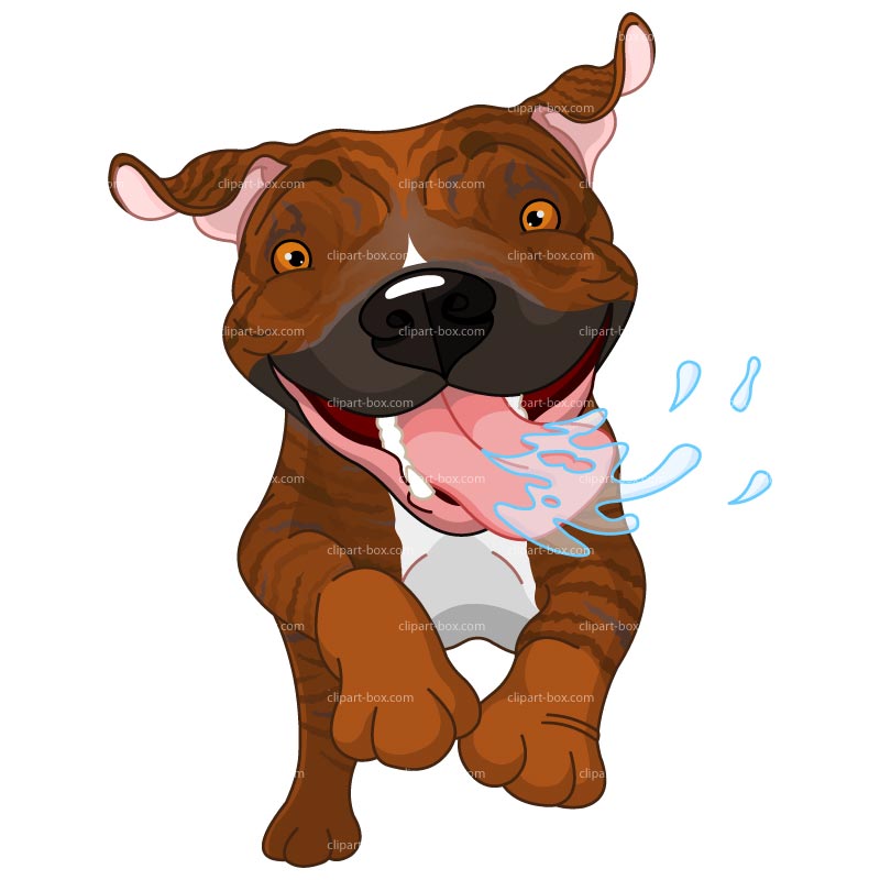 Pitbull Clip Art And Illustration Clipart Vector Eps Pictures