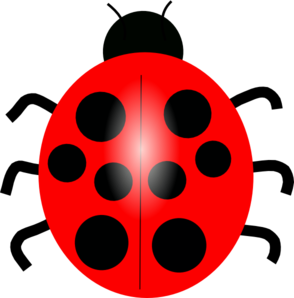 Red Ladybug Clip Art At Clker Com   Vector Clip Art Online Royalty