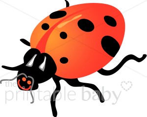 Red Ladybug Clipart   Bug Clipart