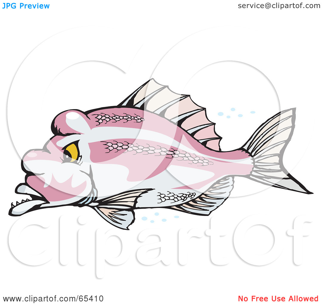 Royalty Free  Rf  Clipart Illustration Of A Pink Snapper In Profile By
