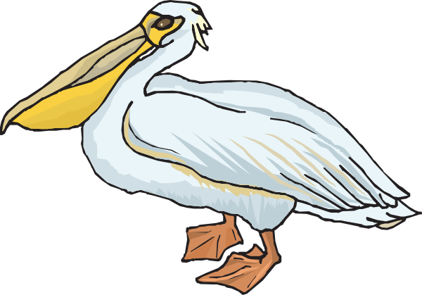Standing Pelican Clip Art Vector Clip Art Online Royalty Free