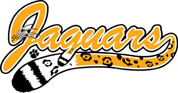     Team Mascot Vinyl Sports Decal  Personalize As You Order  Jaguars Font