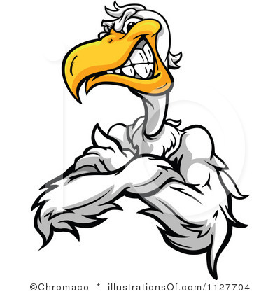 Tough Clipart Pelican Clip Art Royalty Free Pelican Clipart