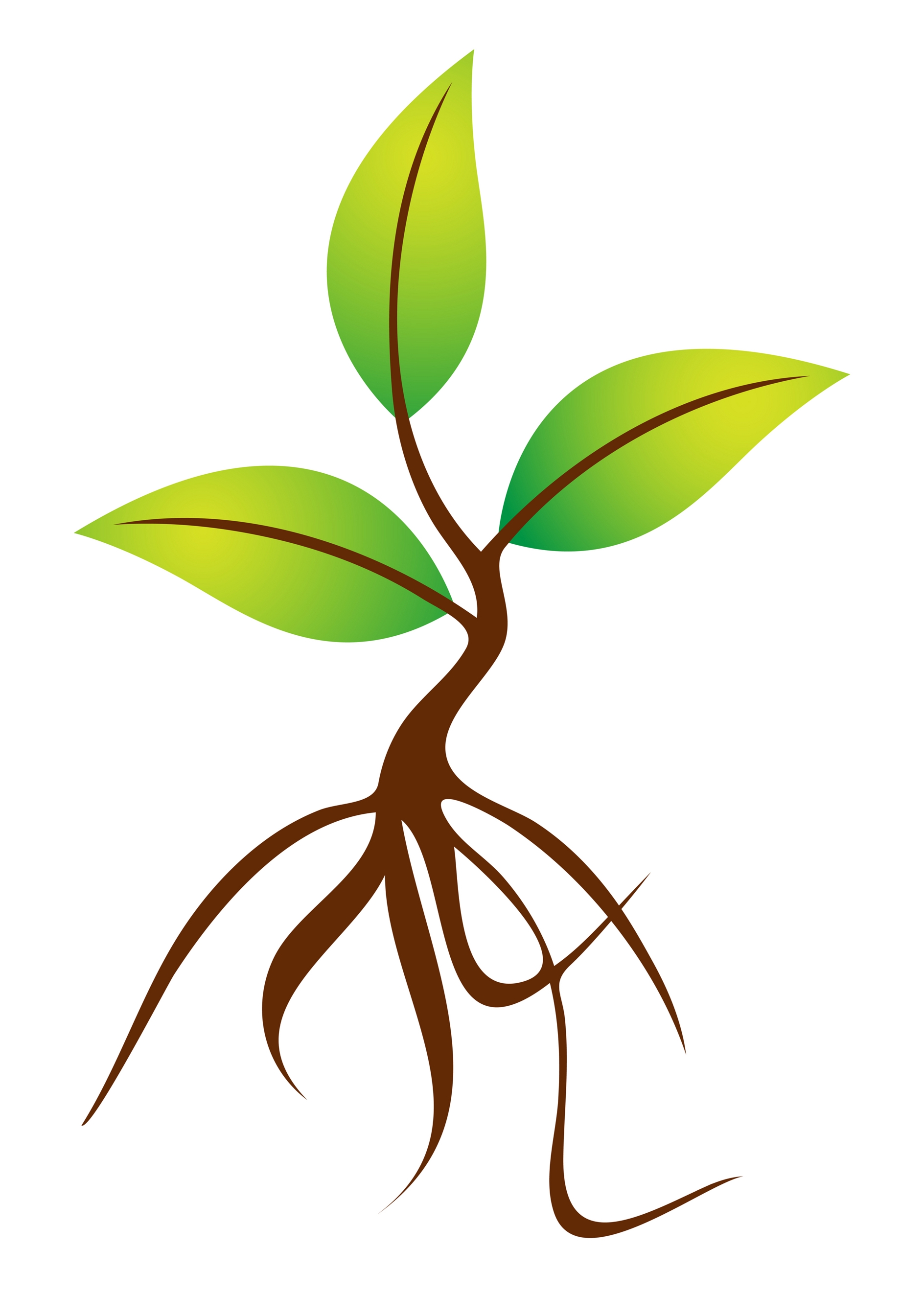 Upcoming Events   Tree Seedling Sale   Van Buren Conservation District