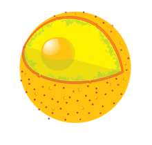 Cell  Definition From Answers    Clipart Best   Clipart Best