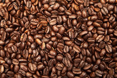 Coffee Beans Royalty Free Stock Images