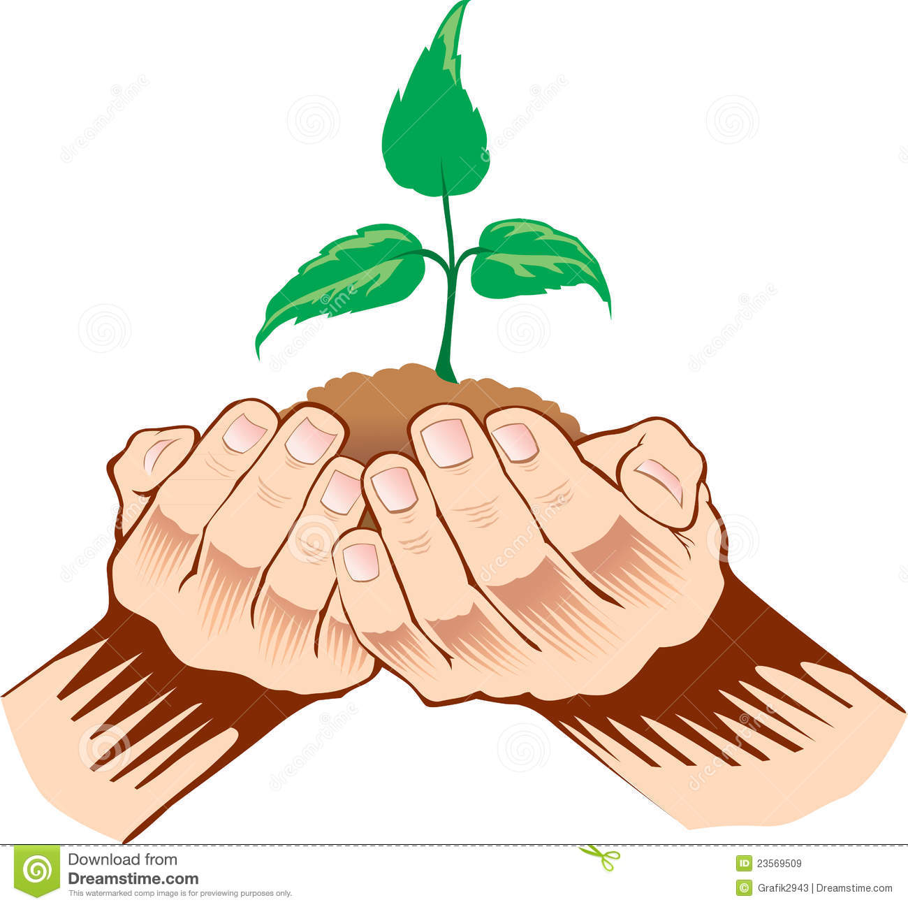 Hands Holding Sapling In Soil Royalty Free Stock Images   Image    