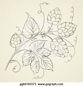 Hop With Leafs Isolated On Biege  Illustration   Clipart Gg66185575