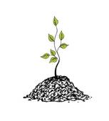 Sapling Clipart And Illustrations