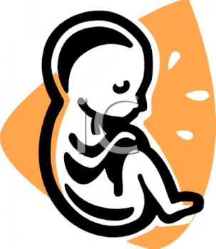 Abortion Clipart 0511 0907 1323 1857 Fetus Or Embryo Clipart Image Jpg