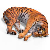 Dead Cat Clipart Big Cat Tiger