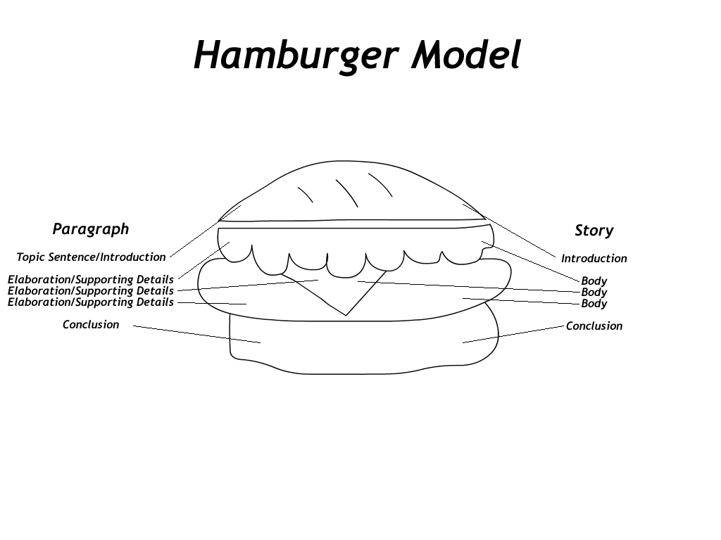 During Explain To Students The Hamburger Model For Developing