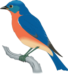 Free Bluebird Clip Art